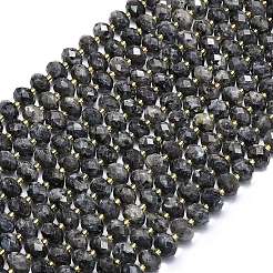 Natural Larvikite Beads Strands&nbsp;G-P573-A54-01