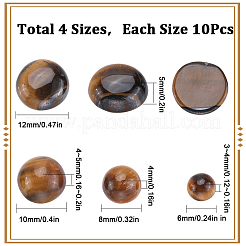 40Pcs 4 Styles Natural Tiger Eye Cabochons&nbsp;G-SC0002-48