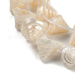 Natural Shell Beads Strands&nbsp;X-SHEL-K009-11