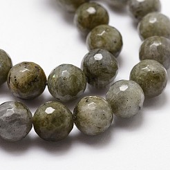 Natural Labradorite Beads Strands&nbsp;G-G736-04-10mm