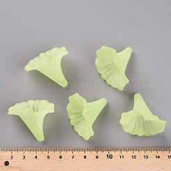 Transparent Acrylic Beads&nbsp;BSF796-C17