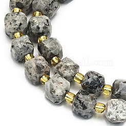 Natural Syenite Beads Strand&nbsp;G-I376-D17-01