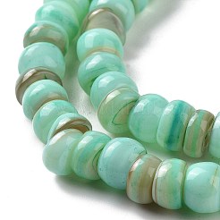 Natural Cultured Freshwater Shell Beads Strands&nbsp;SHEL-F002-01C
