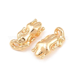 Brass Pendants&nbsp;KK-CBA6818-07G