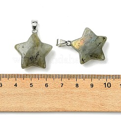 Natural Labradorite Pendants&nbsp;GG-K002-10G