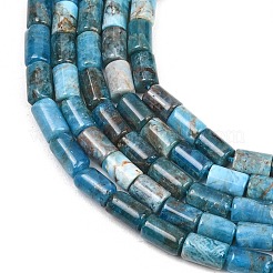 Natural Apatite Beads Strands&nbsp;G-F832-B09-01