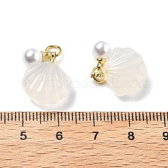Natural Agate Shell Shaped Pendants&nbsp;G-U025-06G