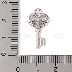 Tibetan Style Alloy Pendants&nbsp;FIND-C060-058B-AS