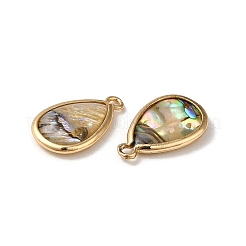 Natural Paua Shell Resin Pendants&nbsp;KK-F865-24G