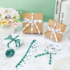 Polyester Ribbon&nbsp;OCOR-WH0111-122