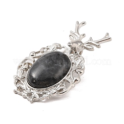 Natural Larvikite Pendants&nbsp;G-A226-02P-03