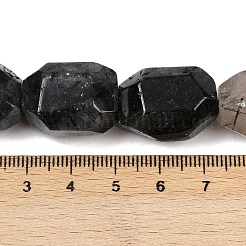 Natural Black Rutilated Quartz Beads Strands&nbsp;G-F796-C02-01