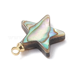 Natural Paua Shell Charms&nbsp;PALLOY-JF05129-01