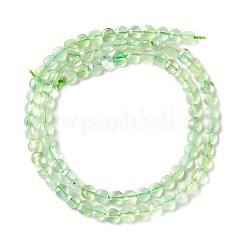Natural Prehnite Beads Strands&nbsp;G-D0003-A99