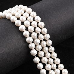 Shell Bead Strands&nbsp;X-BSHE-R146-6mm-02
