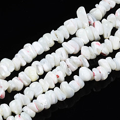 Natural Freshwater Shell Beads Strands&nbsp;SHEL-N003-23