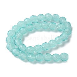 Handmade Lampwork Beads Strands&nbsp;LAMP-Z011-01J