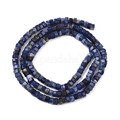 Natural Sodalite Beads Strands&nbsp;G-G345-C31-2x4mm