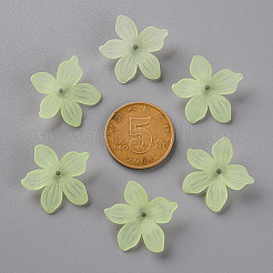 Frosted Acrylic Bead Caps&nbsp;MACR-S371-05A-728