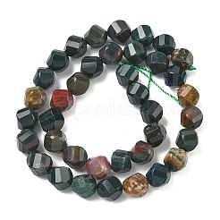 Natural Bloodstone/Heliotrope Stone Beads Strands&nbsp;G-C267-B03