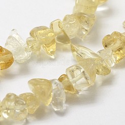 Natural Citrine Beads Strands&nbsp;X-G-F328-13