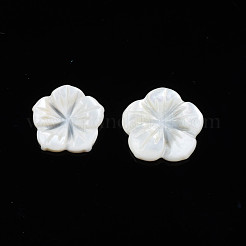 Natural Freshwater Shell Cabochons&nbsp;SHEL-N026-183