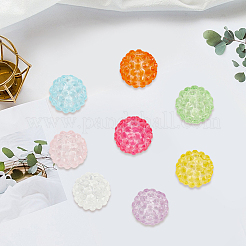 24Pcs 8 Colors Transparent Resin Beads&nbsp;RESI-PA0001-57