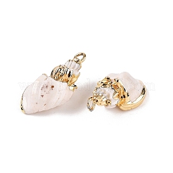 Natural Sea Shell Pendants&nbsp;SSHEL-N038-42