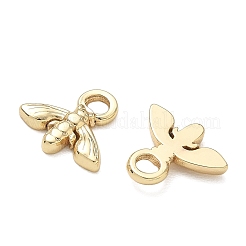 304 Stainless Steel Charms&nbsp;SA-CBA3037-16G