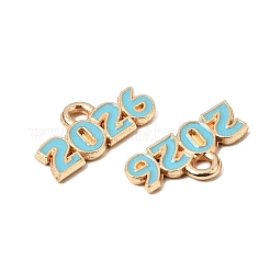 Alloy Enamel Pendants&nbsp;ENAM-D319-01KCG-03