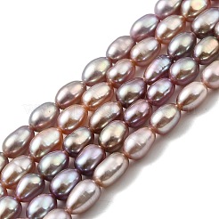Natural Cultured Freshwater Pearl Beads Strands&nbsp;PEAR-I007-01P-01