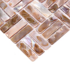 Natural Freshwater Shell Mosaic Tile Cabochons&nbsp;SHEL-Q029-02