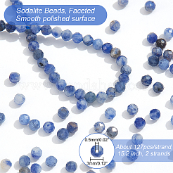 2 Strands Natural Sodalite Beads Strands&nbsp;G-NB0004-62