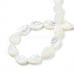 Natural Trochid Shell/Trochus Shell Beads Strands&nbsp;SSHEL-N034-135A-01