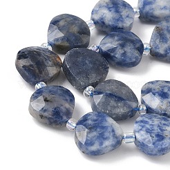 Natural Blue Spot Jasper Beads Strands&nbsp;G-D316-A04
