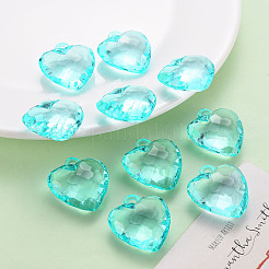 Transparent Acrylic Pendants&nbsp;LS-TACR-T024-03B-946