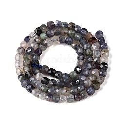 Natural Iolite Beads Strands&nbsp;G-N342-112B