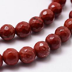 Natural Red Jasper Beads Strands&nbsp;G-D840-50-6mm