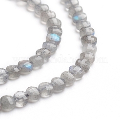 Natural Labradorite Beads Strands&nbsp;G-E560-C08-4mm