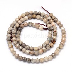 Natural Fossil Coral Round Bead Strands&nbsp;G-O094-08-4mm
