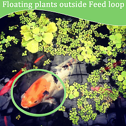 2 Sets EVA Foam Feeding Ring for Fish&nbsp;AJEW-CN0002-52B