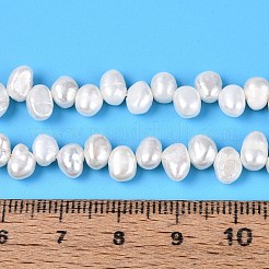 Natural Cultured Freshwater Pearl Beads Strands&nbsp;PEAR-T006-14