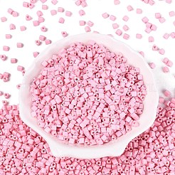 FGB Baking Paint Glass Seed Beads&nbsp;SEED-Q040-09A-02