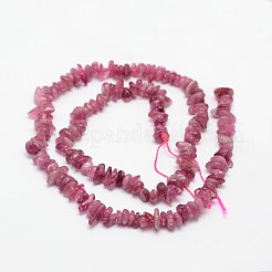 Chips Natural Tourmaline Beads Strands&nbsp;G-N0164-04B