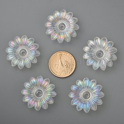 Transparent Acrylic Beads&nbsp;TACR-R14-9