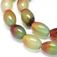 Natural Peacock Agate Beads Strands&nbsp;G-D0005-08