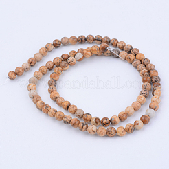 Natural Picture Jasper Beads Strands&nbsp;X-G-Q462-6mm-35