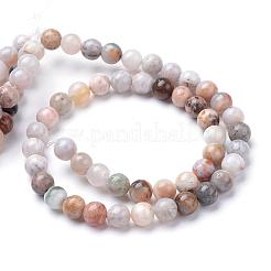 Natural Bamboo Leaf Agate Bead Strands&nbsp;G-R345-6mm-42