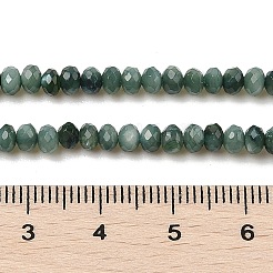 Natural Freshwater Shell Dyed Beads Strands&nbsp;SHEL-R100-13A-05