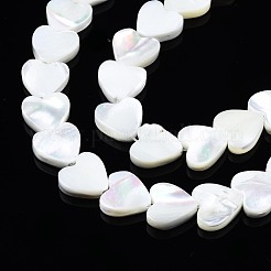 Natural Trochid Shell/Trochus Shell Beads Strands&nbsp;SSHEL-N034-99B-B01